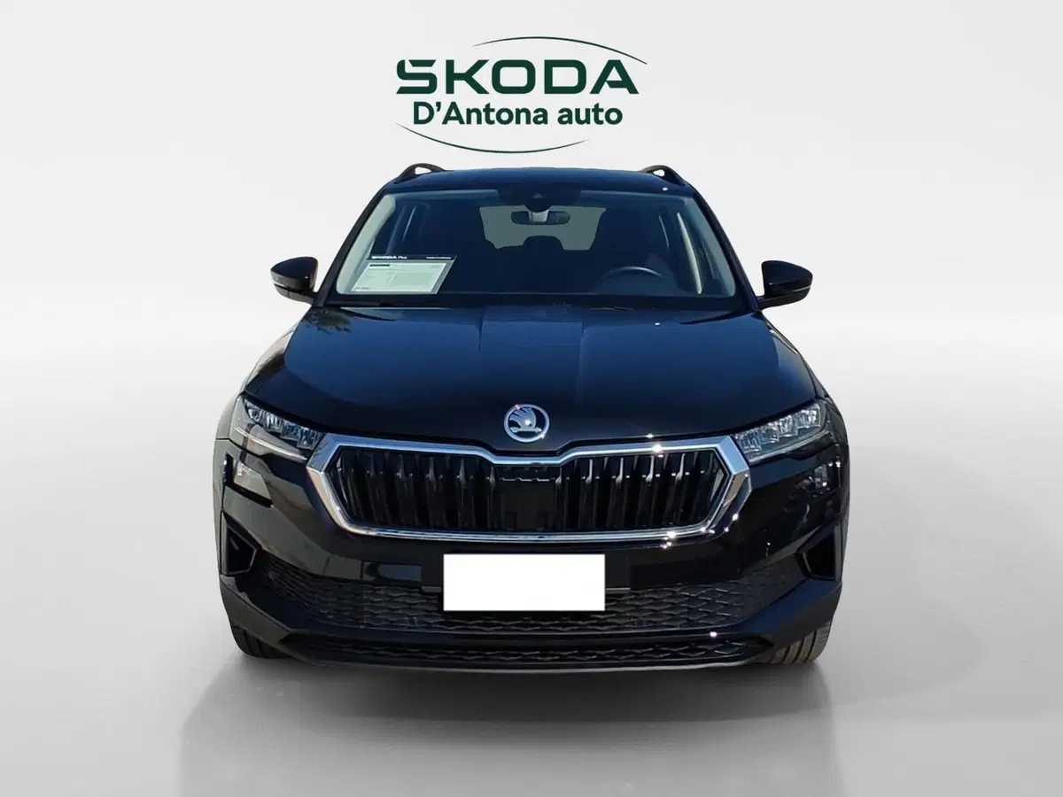 Skoda Karoq usata a Taranto (2)