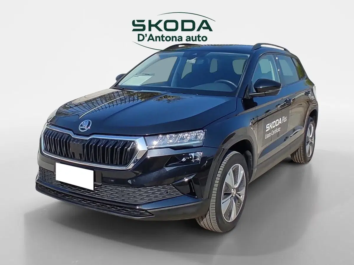 Skoda Karoq usata a Taranto (3)