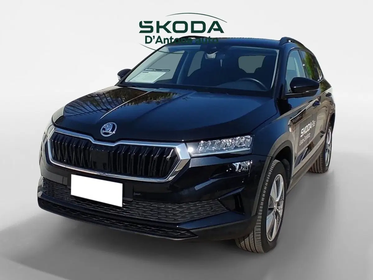 Skoda Karoq usata a Taranto (4)