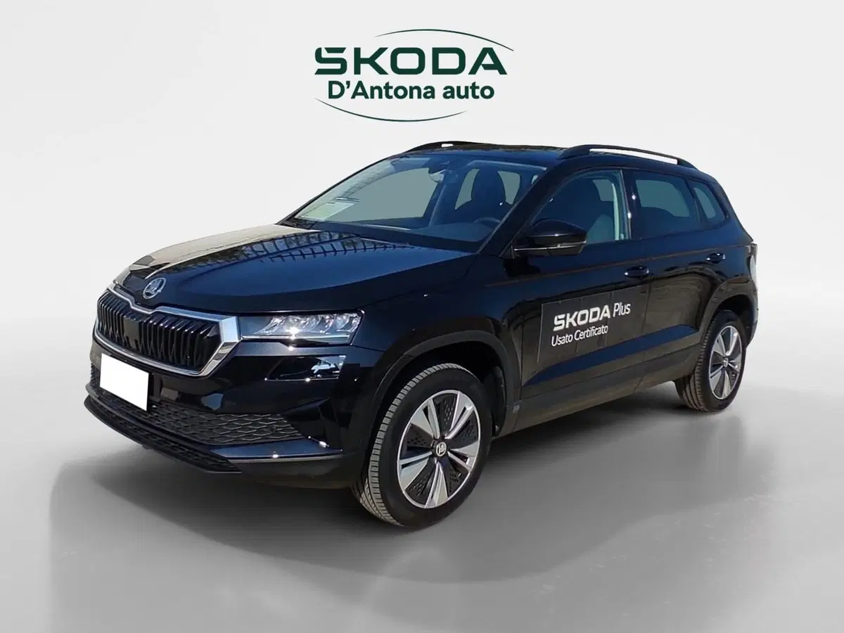 Skoda Karoq usata a Taranto (5)
