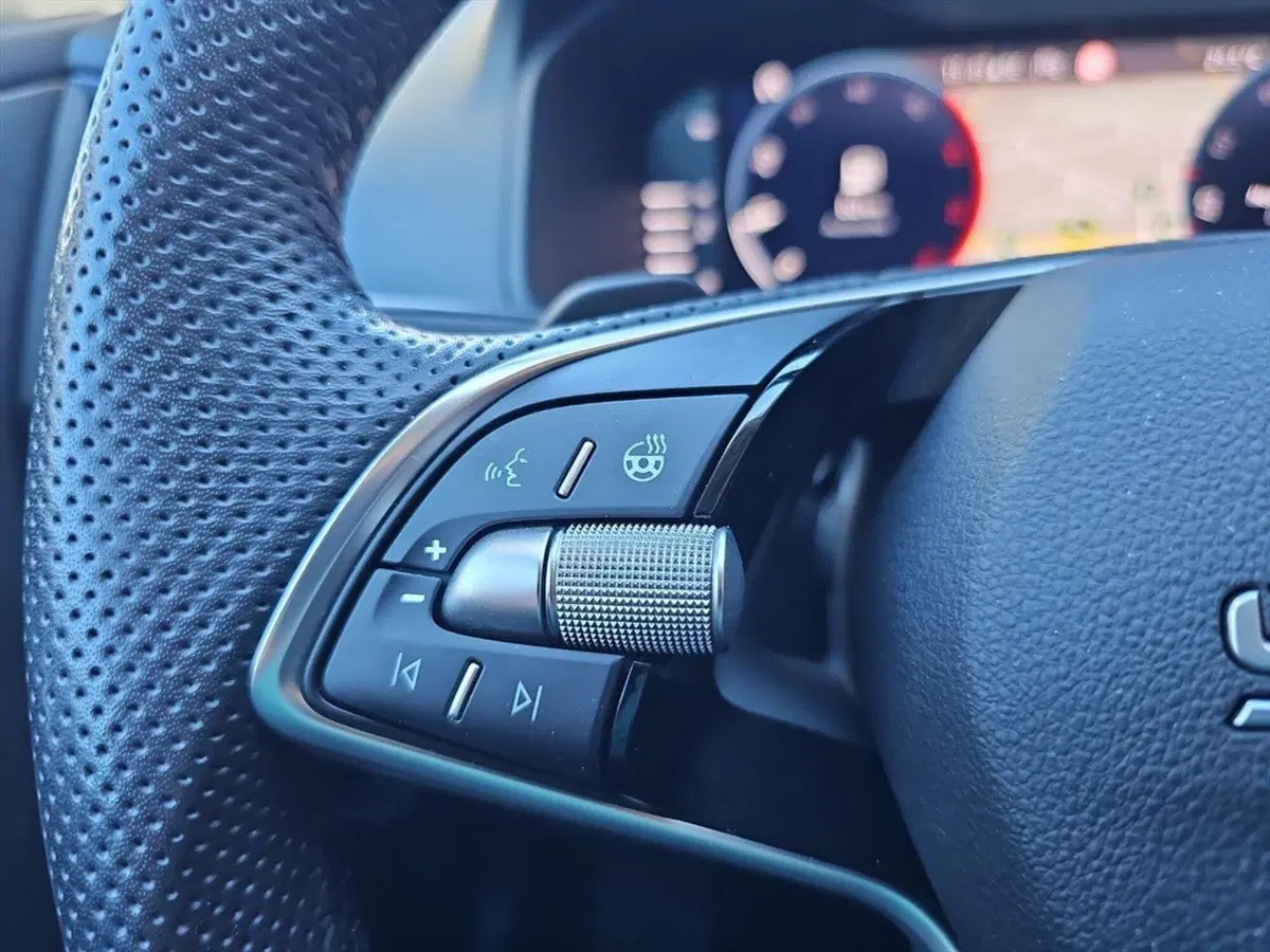 Skoda Karoq usata a Lecco (17)