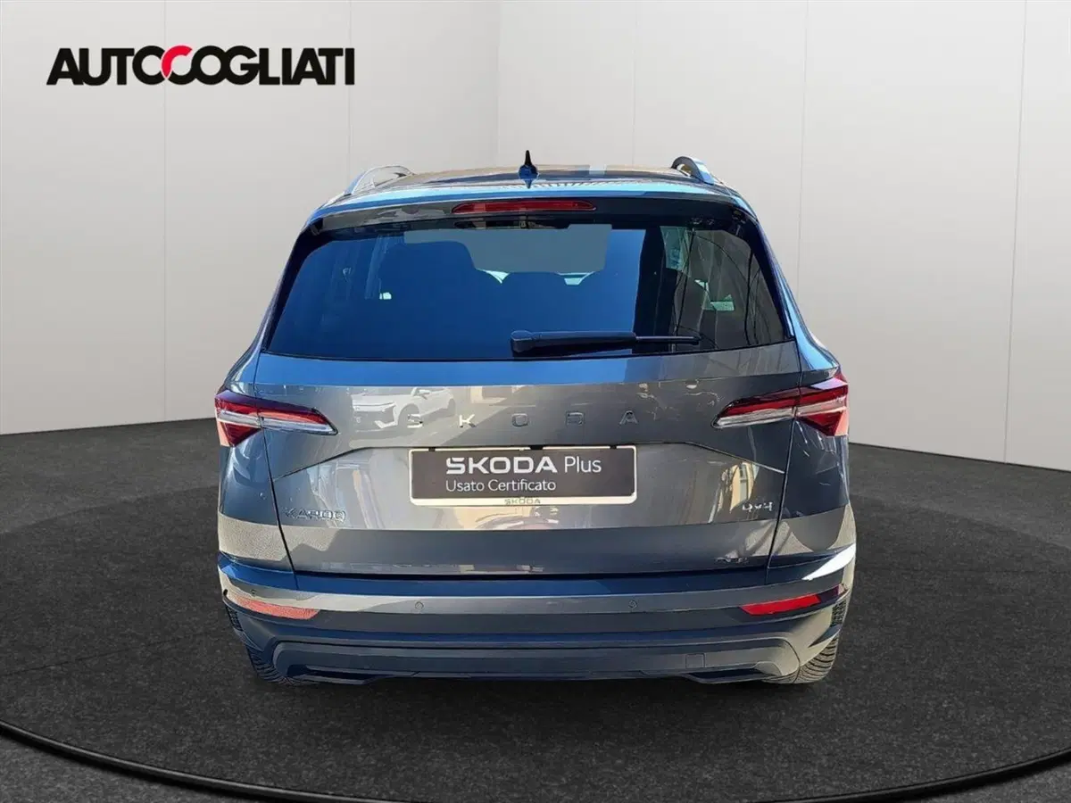 Skoda Karoq usata a Lecco (6)