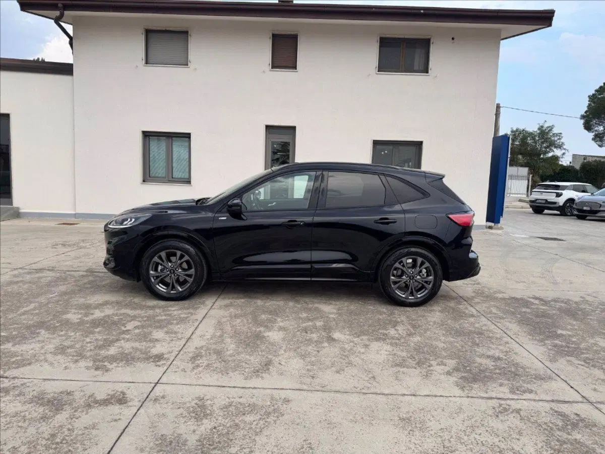 Ford Kuga usata a Matera (6)