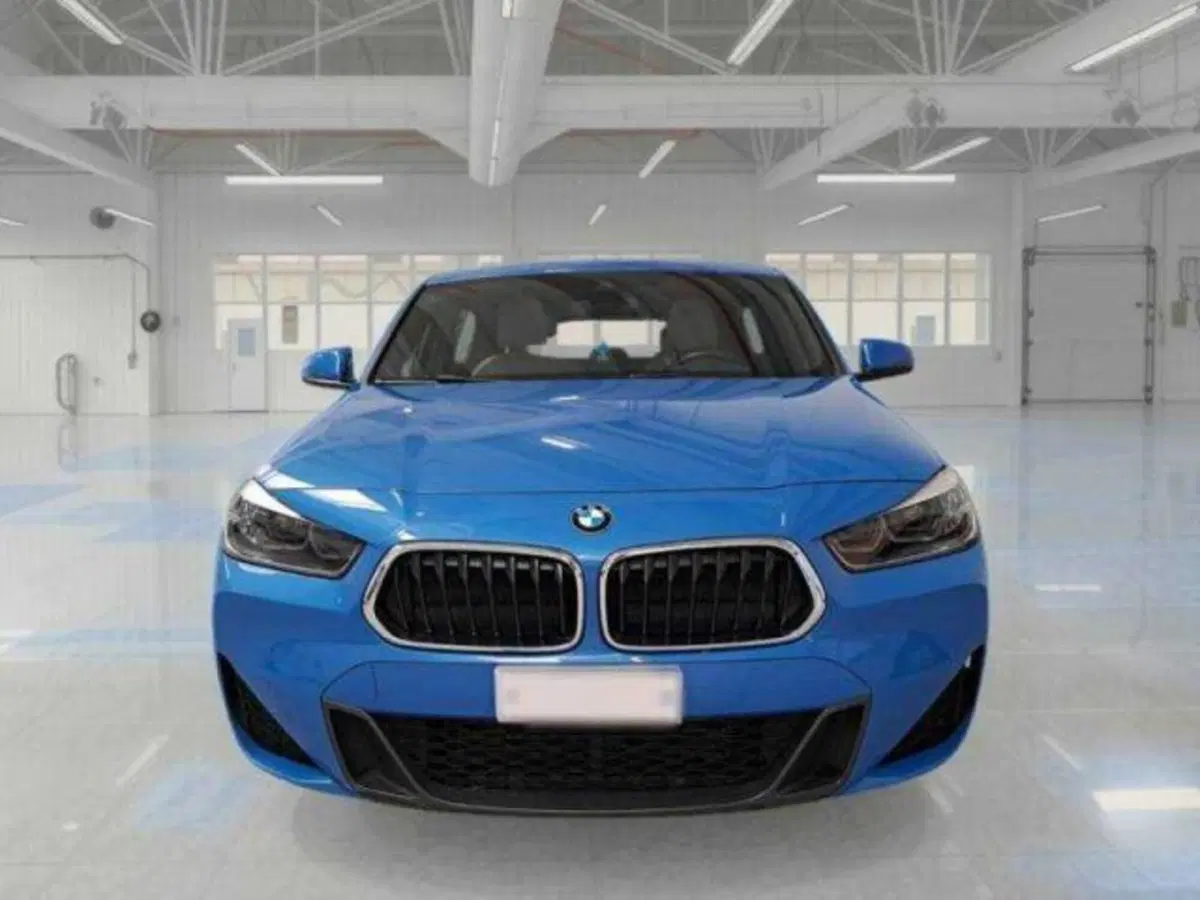 BMW X2 usata a Bologna (5)