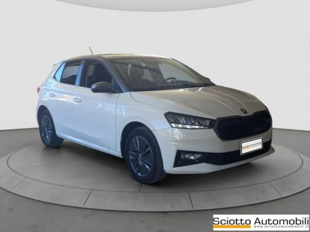 Skoda Fabia usata a Messina (8)