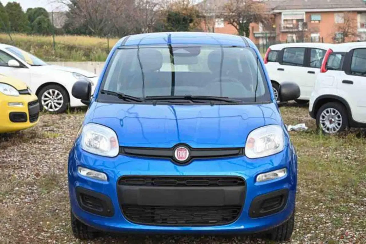 Fiat Panda nuova a Torino (17)