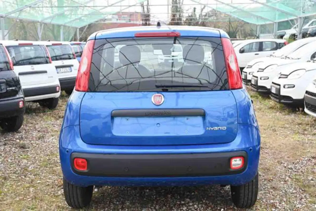 Fiat Panda nuova a Torino (19)