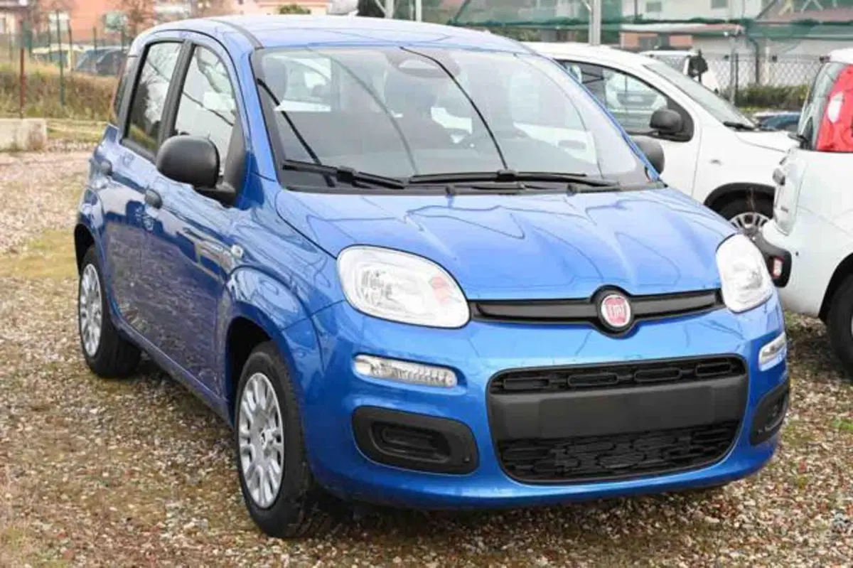 Fiat Panda nuova a Torino (2)