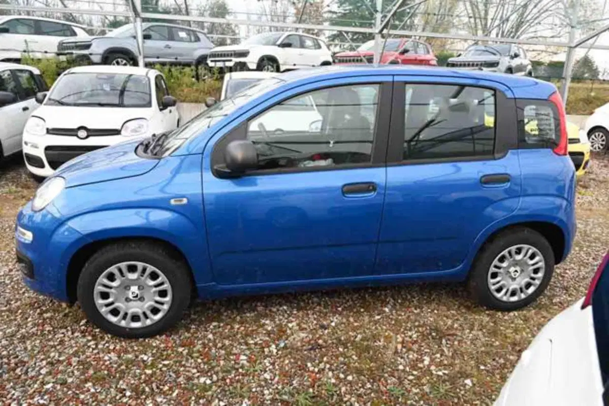 Fiat Panda nuova a Torino (20)