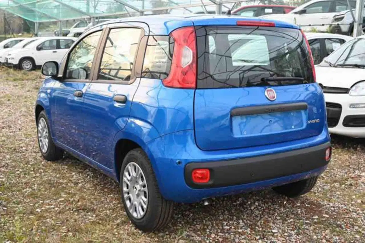 Fiat Panda nuova a Torino (4)