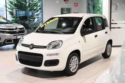 Fiat Panda 1.0 firefly hybrid s&s 70cv 5p.ti nuova a Pianezza