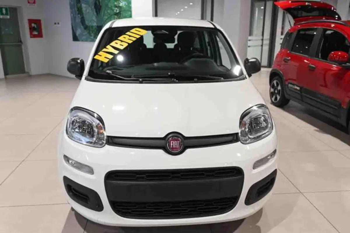 Fiat Panda nuova a Torino (17)