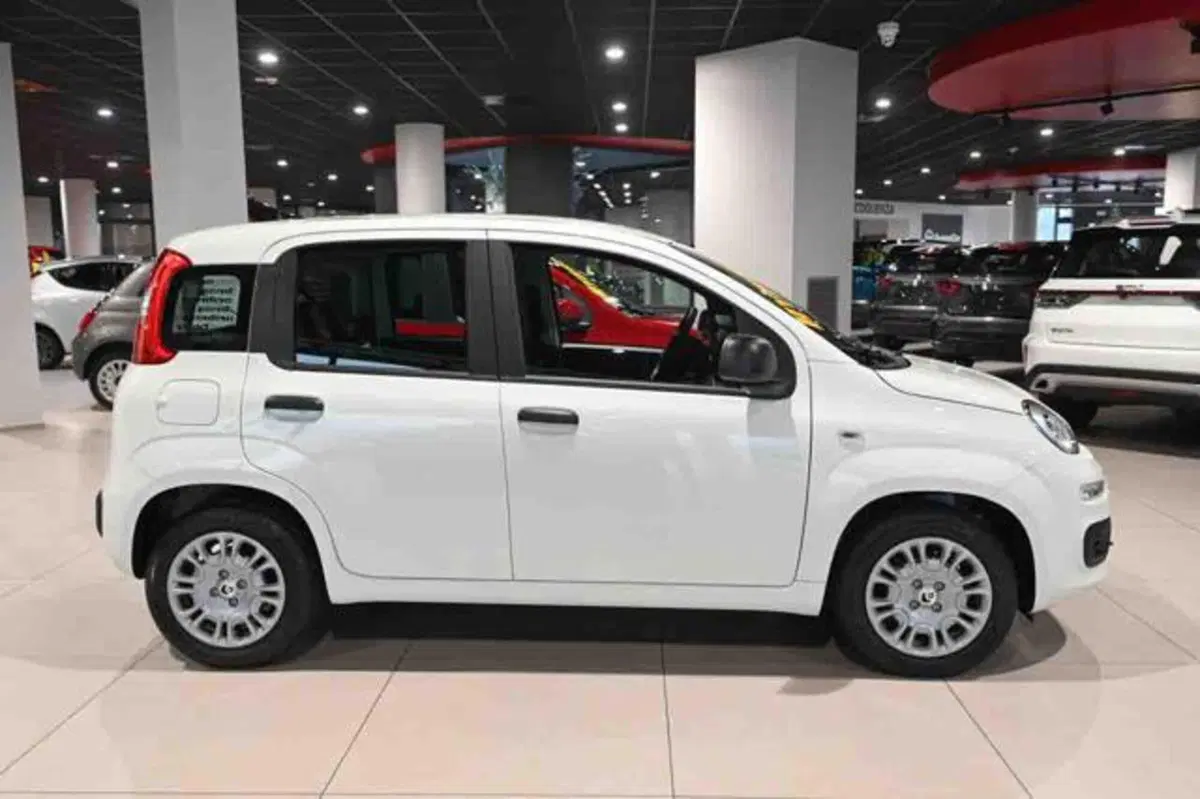 Fiat Panda nuova a Torino (18)
