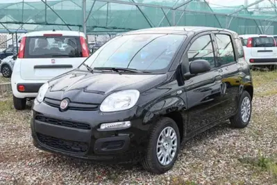 Fiat Panda 1.0 firefly hybrid s&s 70cv 5p.ti nuova a Pianezza