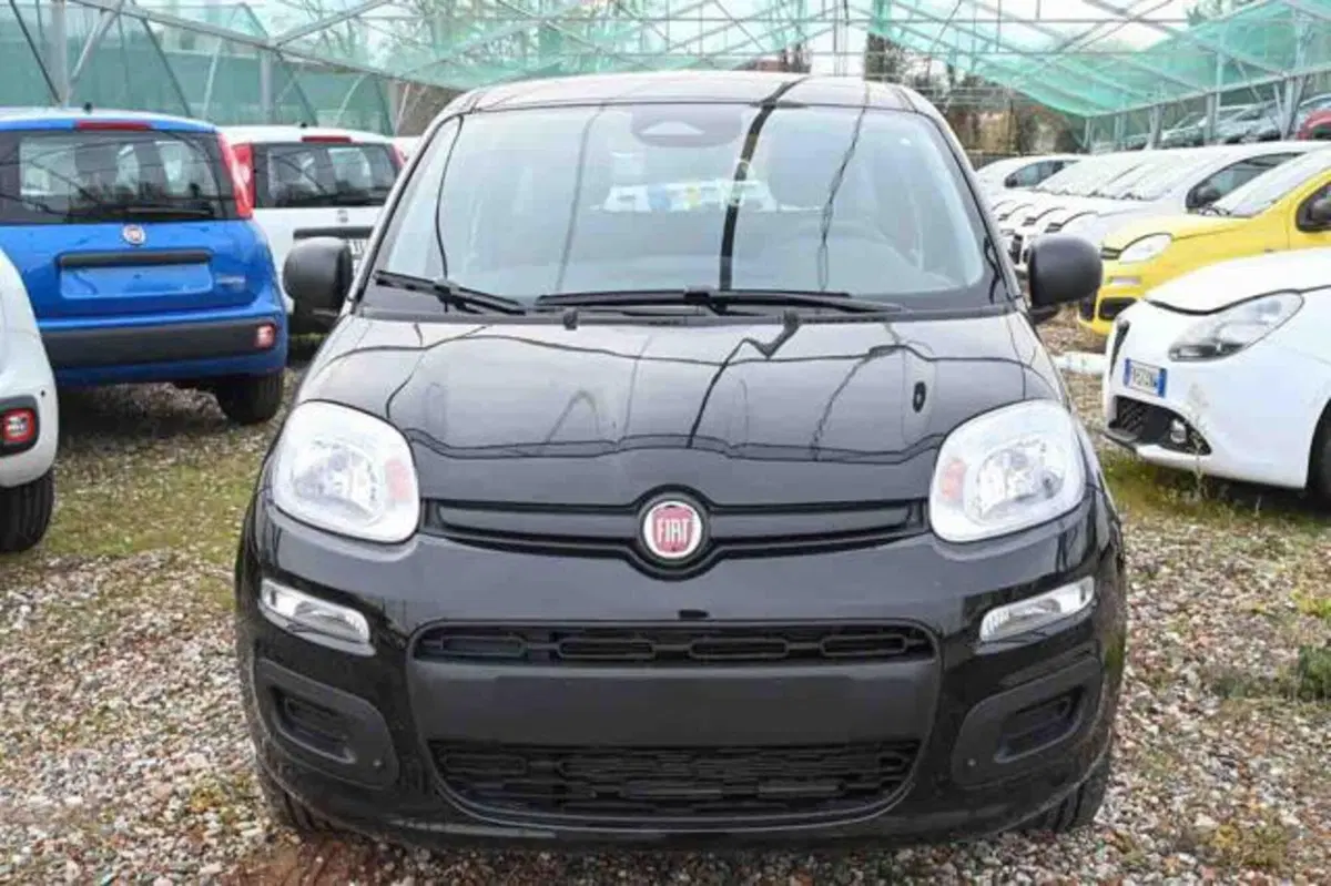 Fiat Panda nuova a Torino (17)