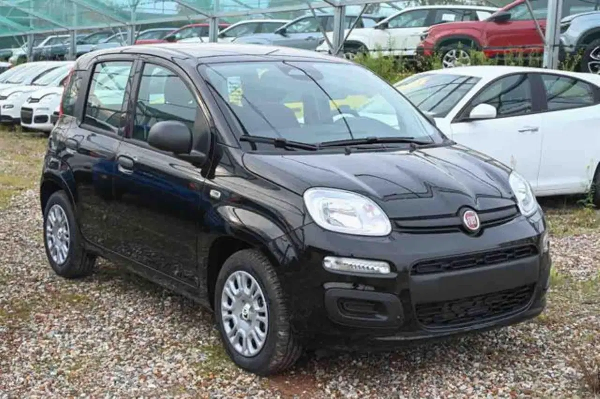 Fiat Panda nuova a Torino (2)