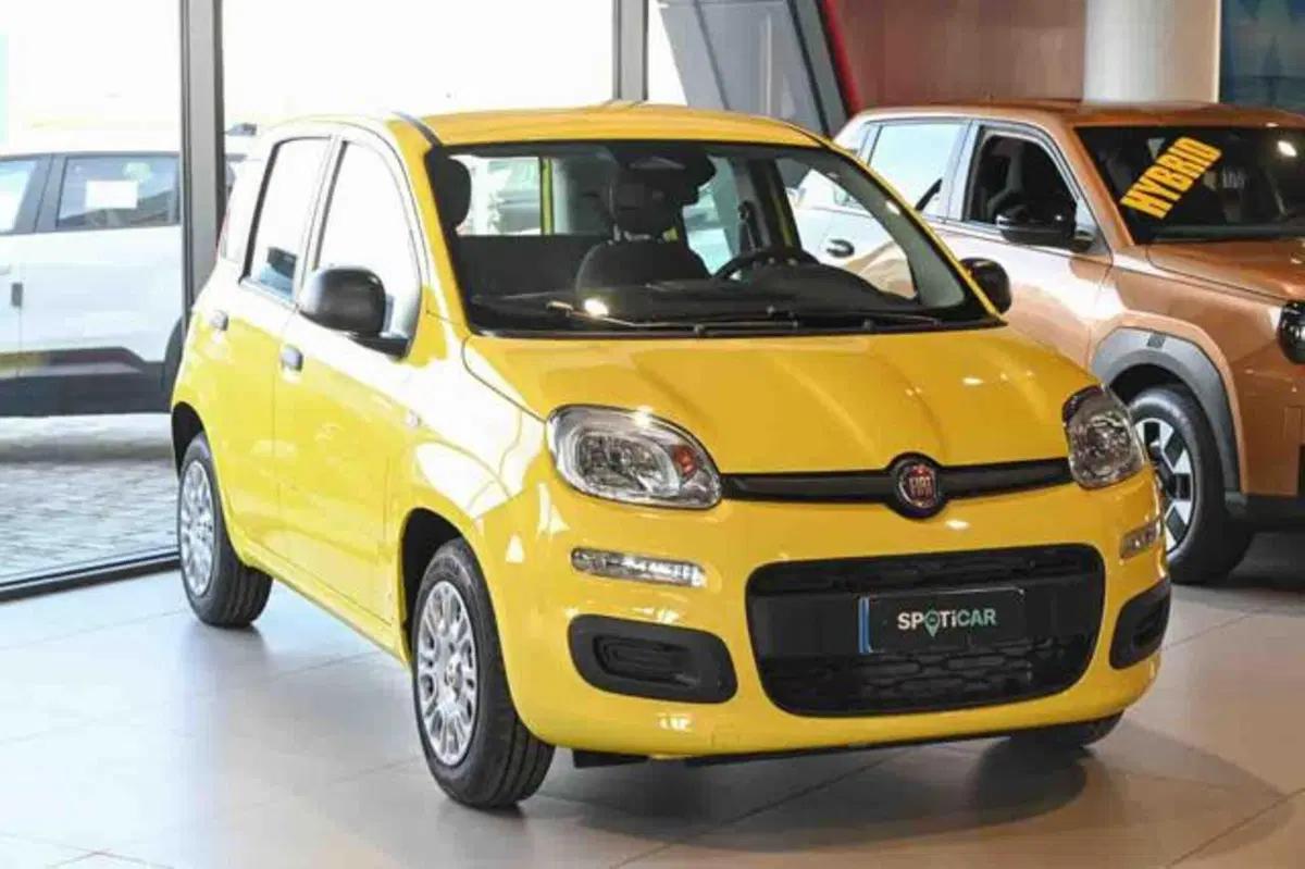 Fiat Panda nuova a Torino (2)