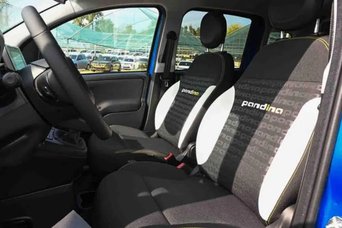 Fiat Panda Cross nuova a Torino (10)