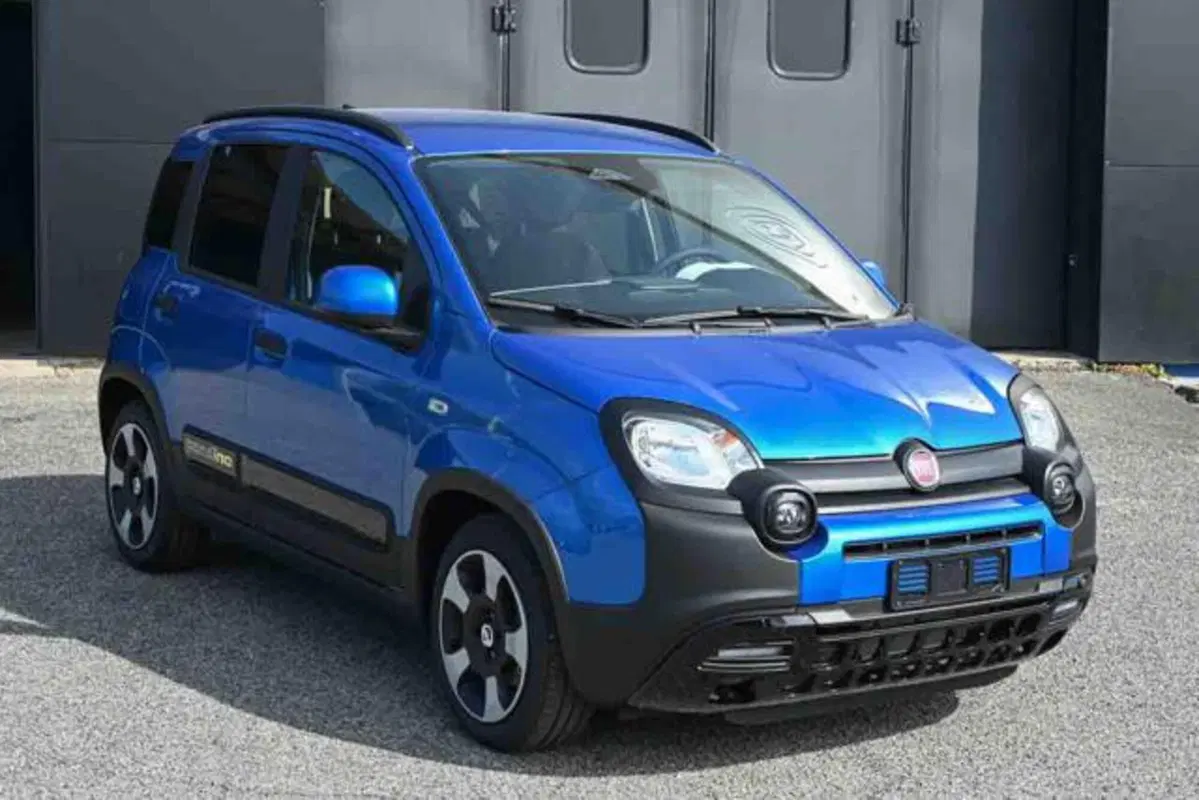 Fiat Panda Cross nuova a Torino (2)