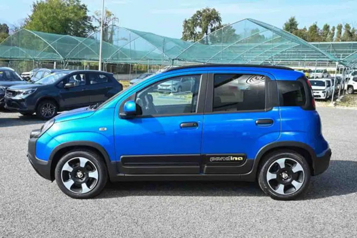 Fiat Panda Cross nuova a Torino (20)