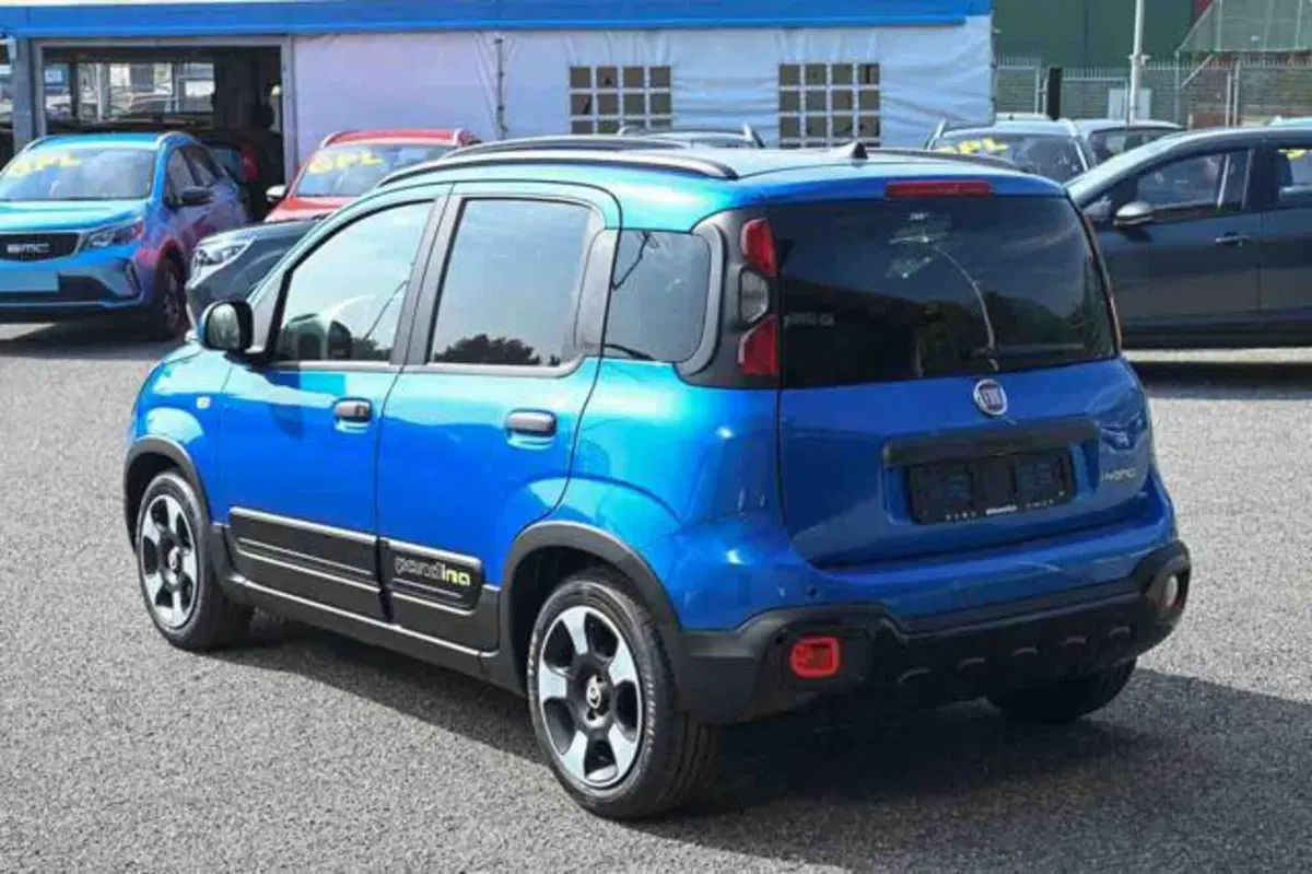 Fiat Panda Cross nuova a Torino (4)