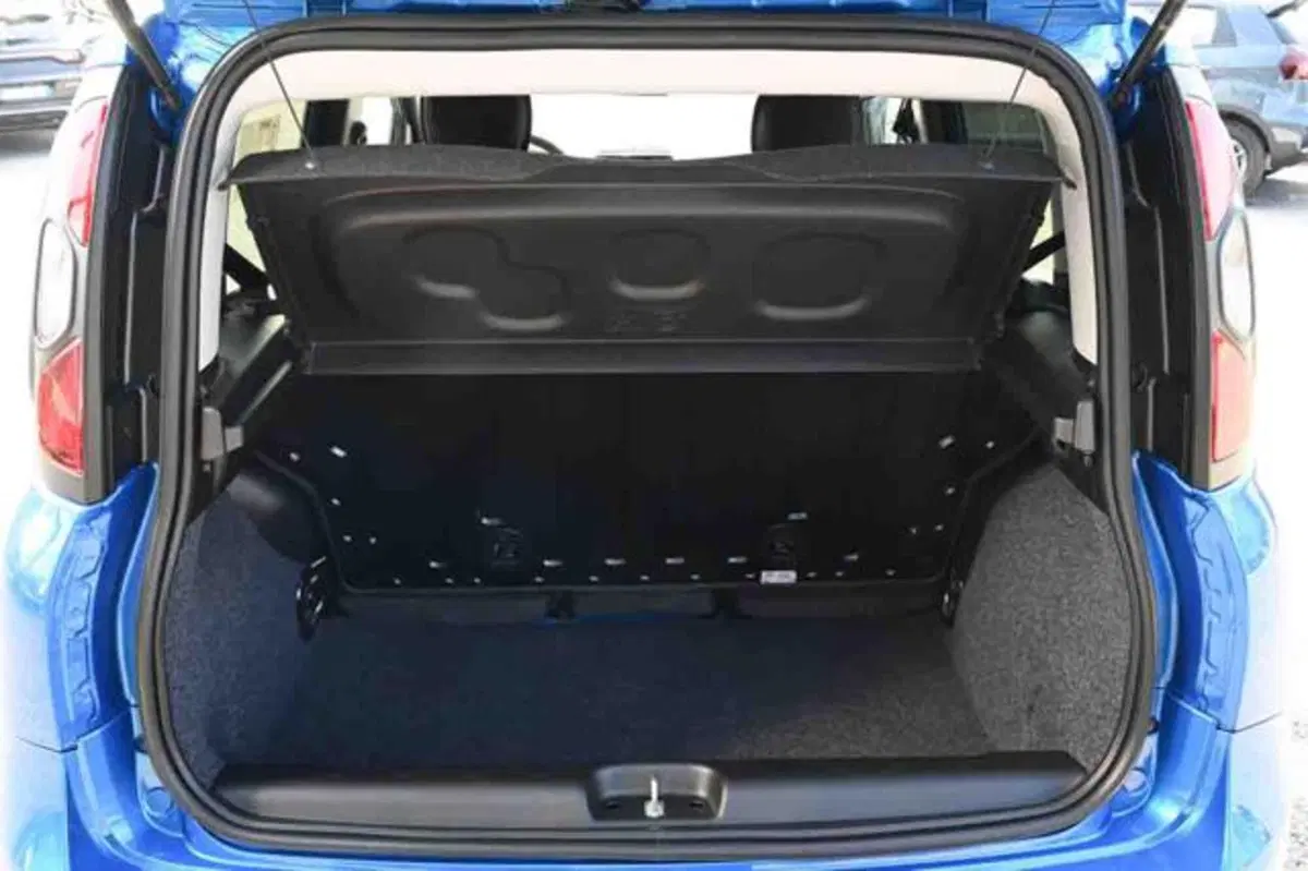 Fiat Panda Cross nuova a Torino (5)