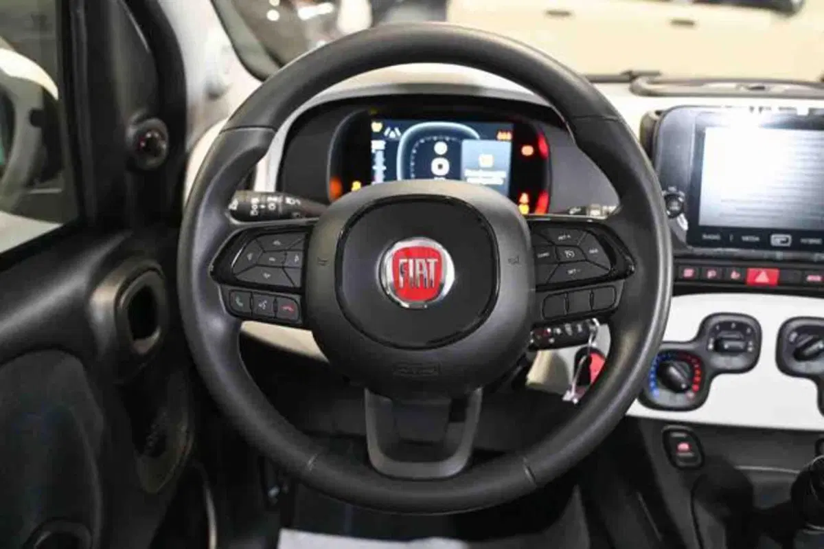 Fiat Panda Cross nuova a Torino (11)