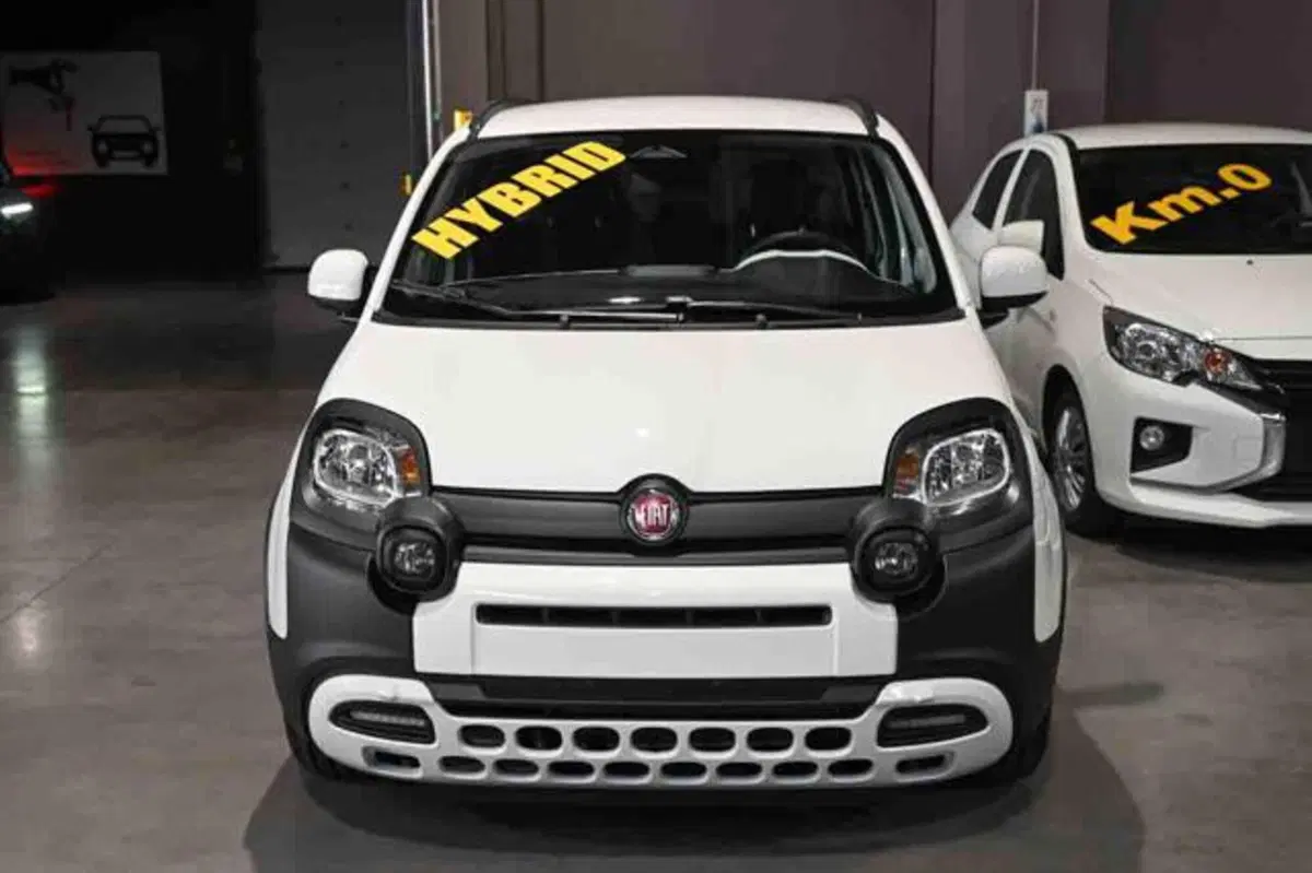 Fiat Panda Cross nuova a Torino (15)