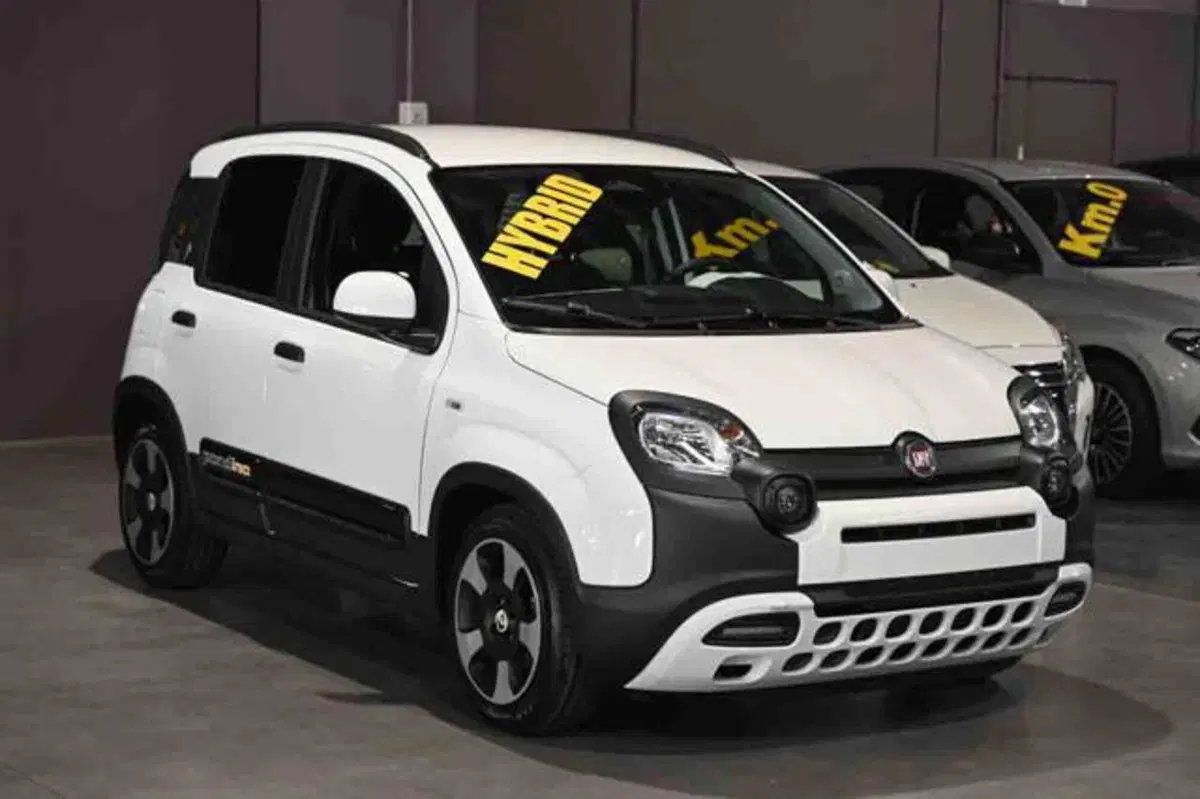 Fiat Panda Cross nuova a Torino (2)