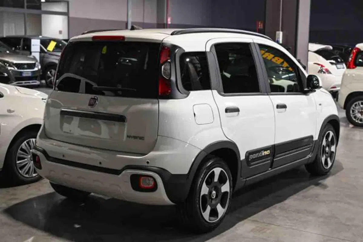 Fiat Panda Cross nuova a Torino (3)