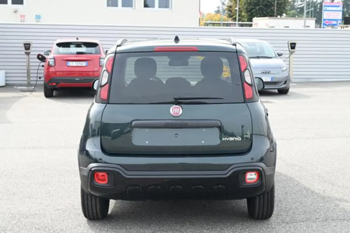 Fiat Panda Cross nuova a Torino (18)