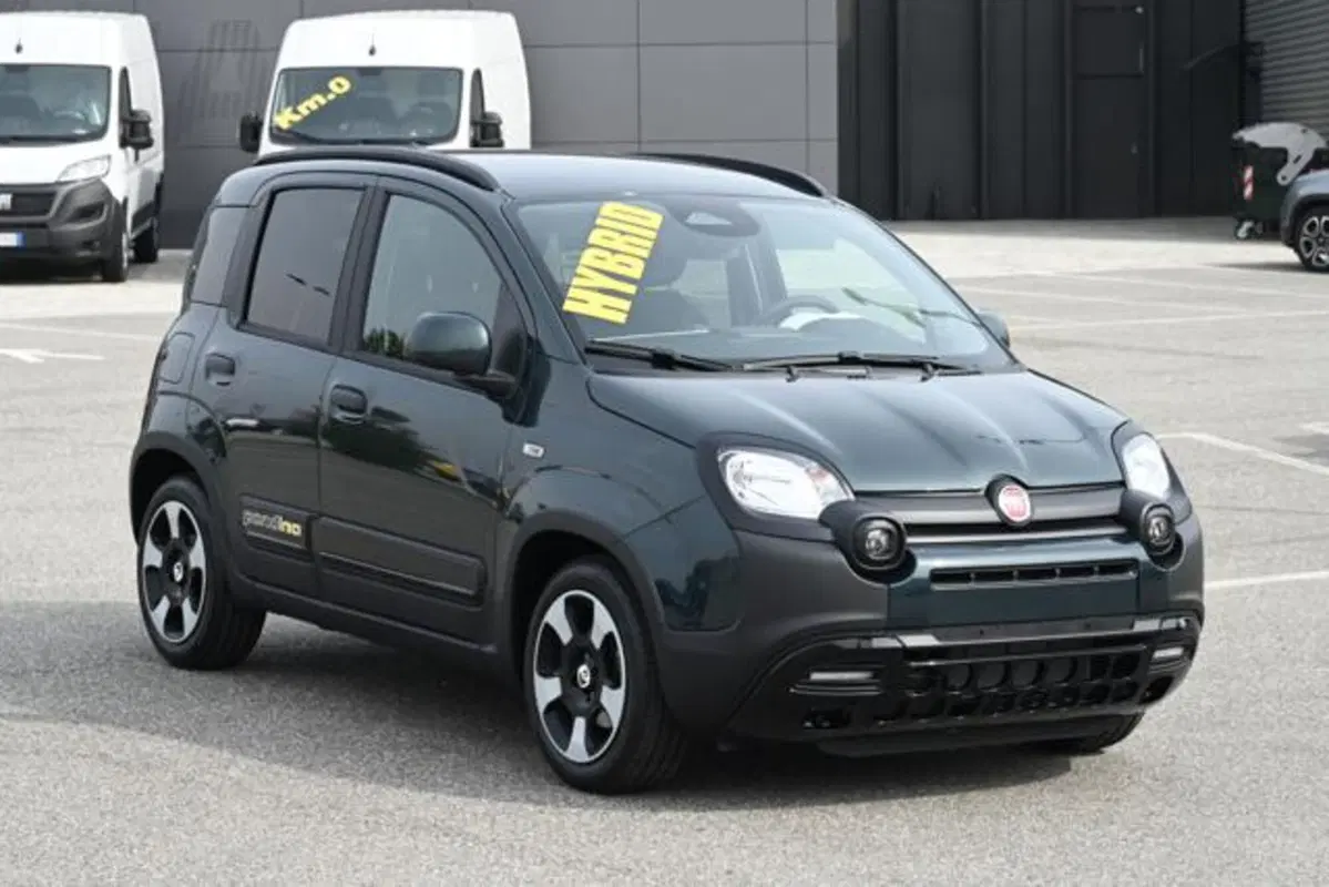 Fiat Panda Cross nuova a Torino (2)