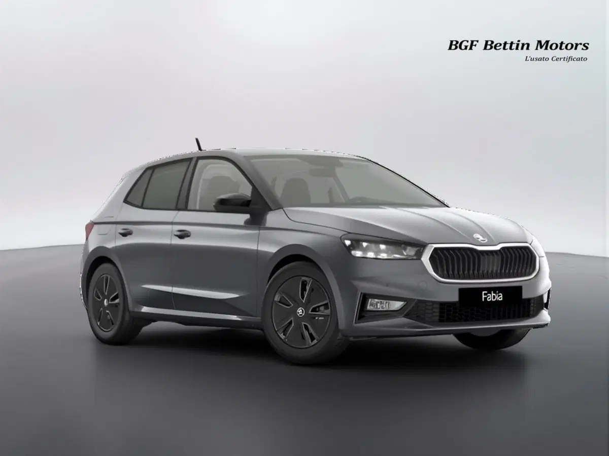 Skoda Fabia nuova a Padova