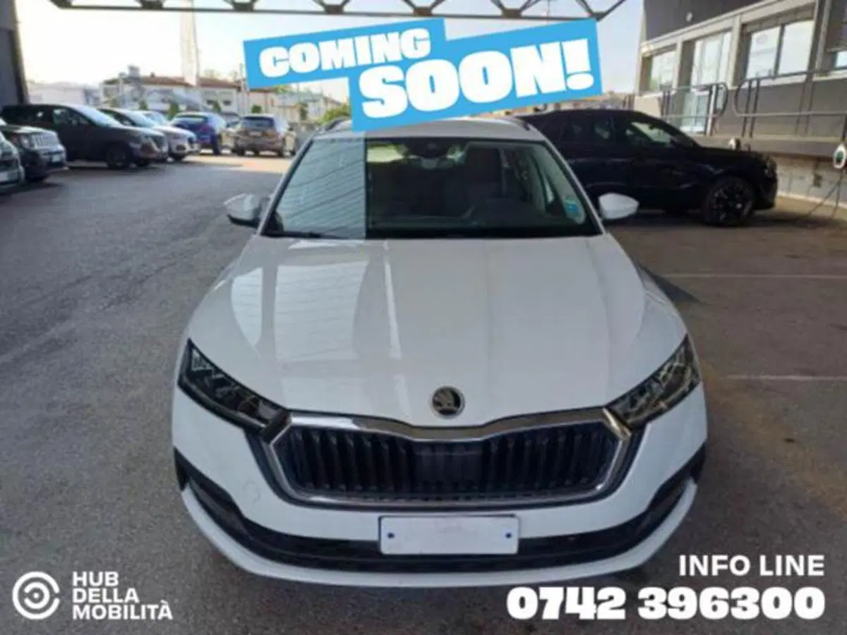 Skoda Octavia Station Wagon usata a Perugia