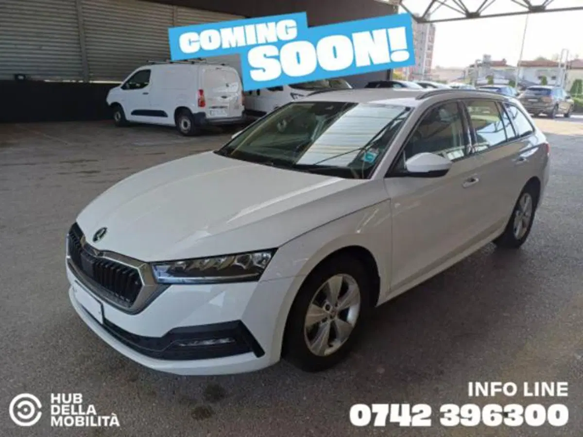 Skoda Octavia Station Wagon usata a Perugia (2)