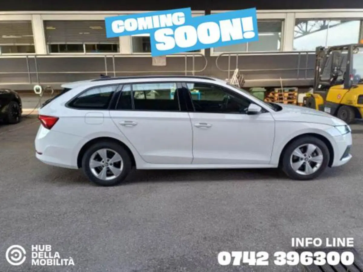 Skoda Octavia Station Wagon usata a Perugia (3)