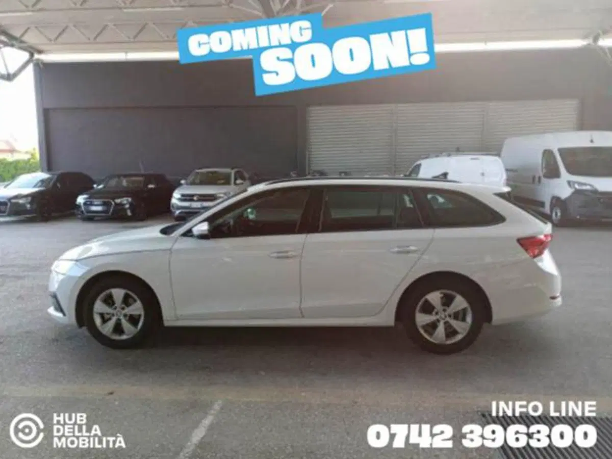 Skoda Octavia Station Wagon usata a Perugia (4)