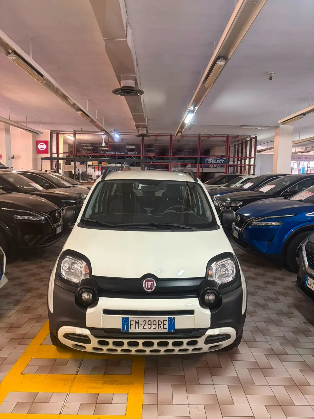Fiat Panda usata a Cagliari