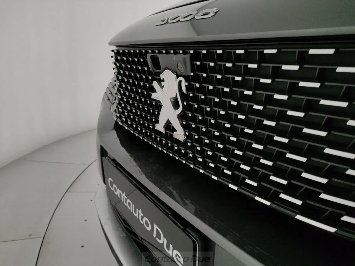 Peugeot 3008 usata a Caserta (9)