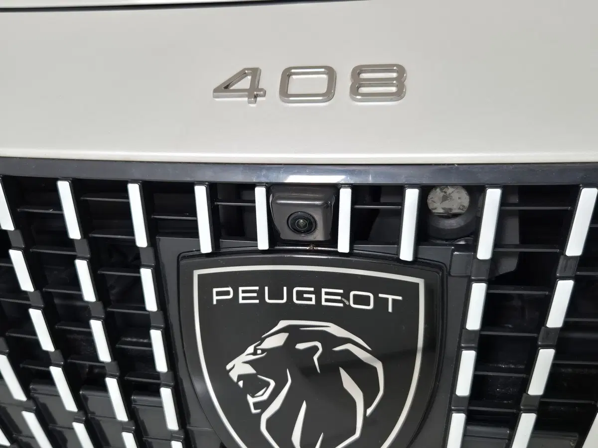 Peugeot 408 usata a Torino (17)