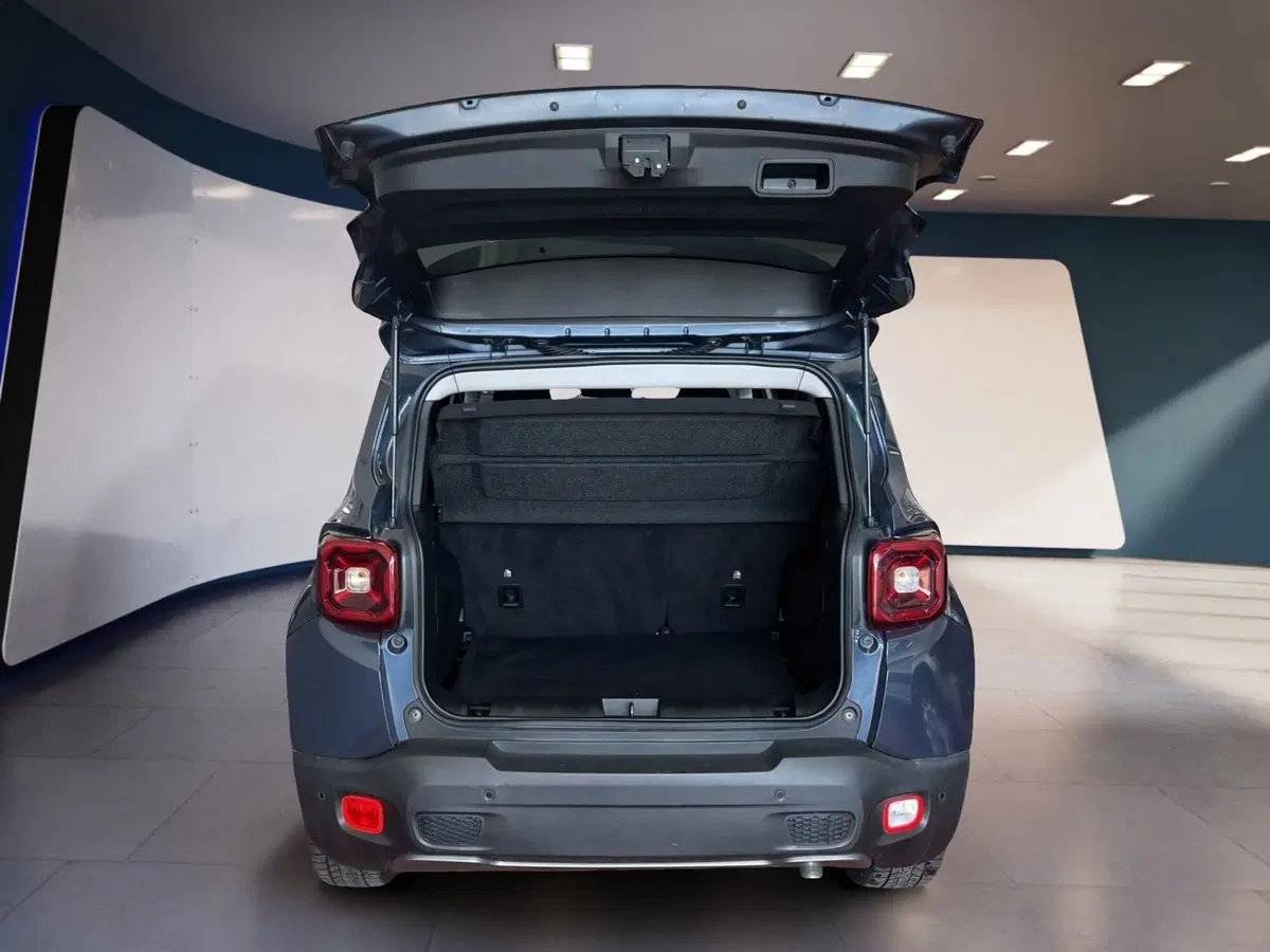 Jeep Renegade usata a Torino (7)