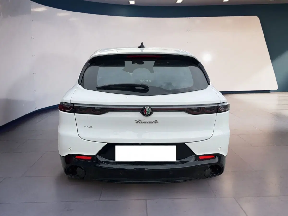 Alfa Romeo Tonale usata a Torino (2)