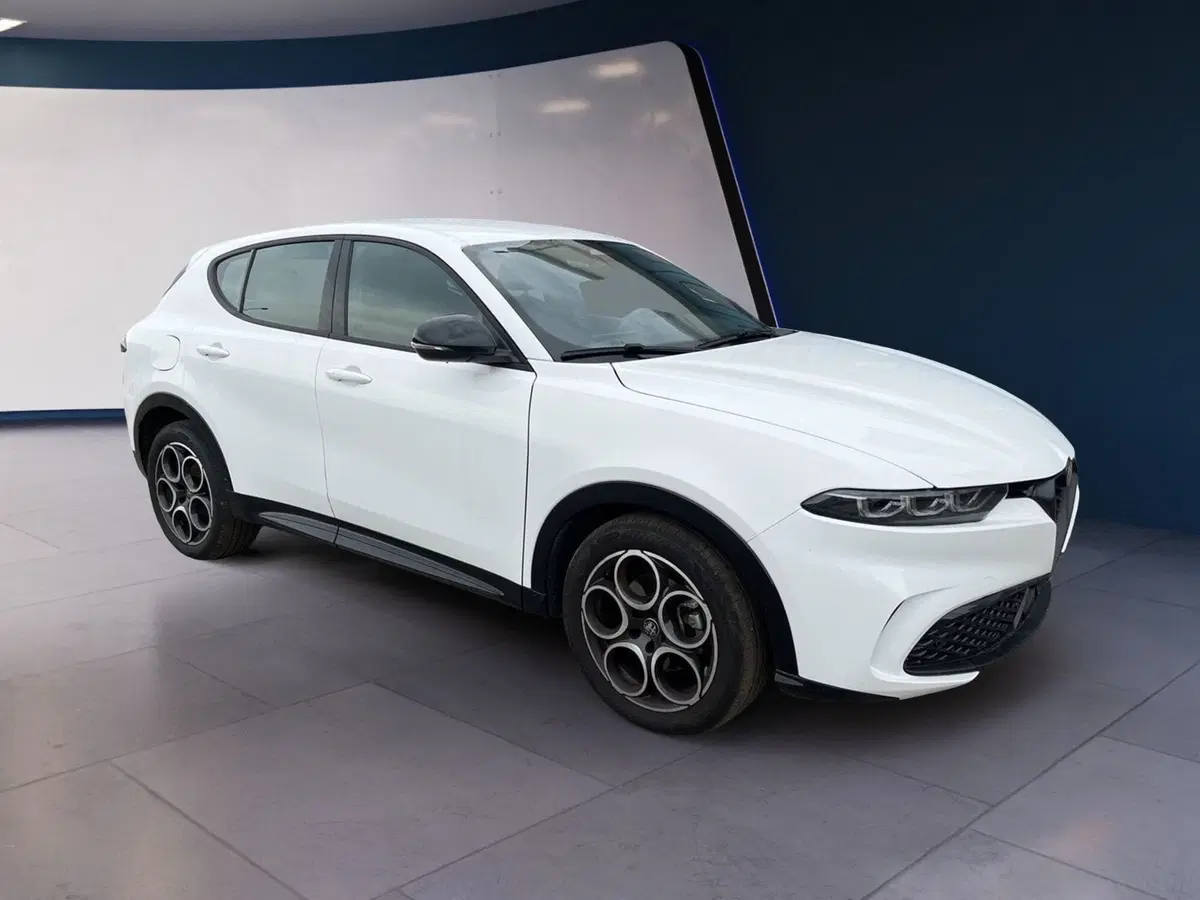 Alfa Romeo Tonale usata a Torino (3)