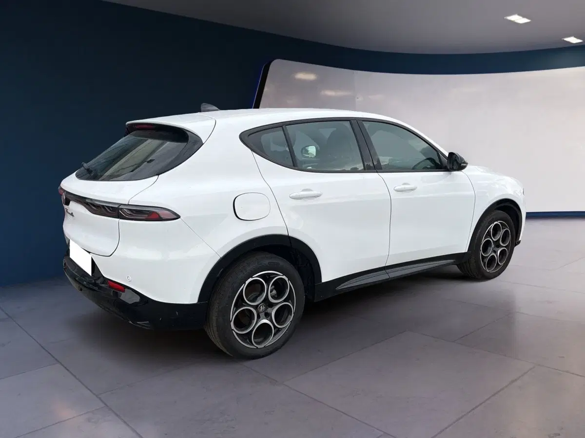 Alfa Romeo Tonale usata a Torino (4)