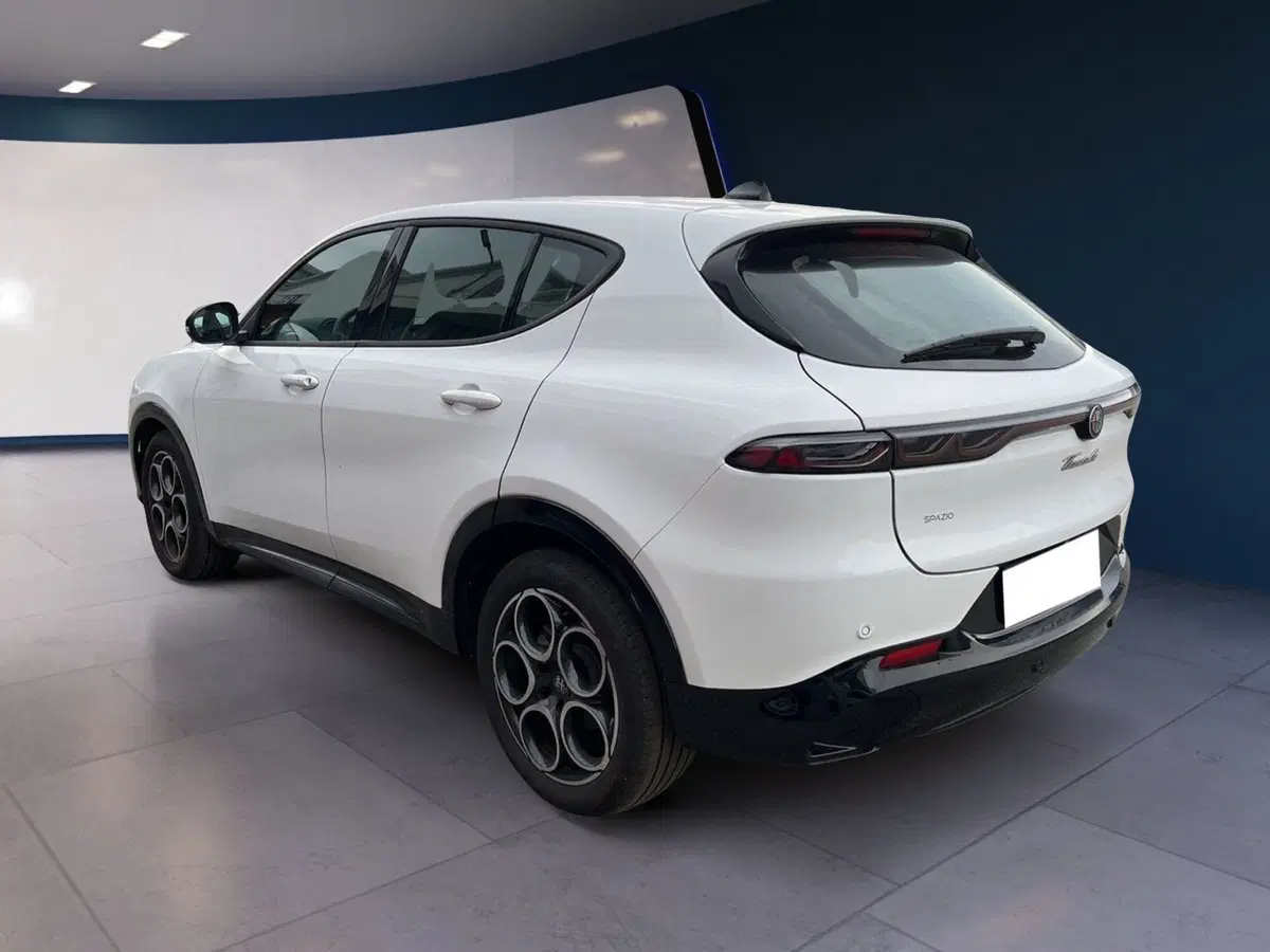 Alfa Romeo Tonale usata a Torino (5)