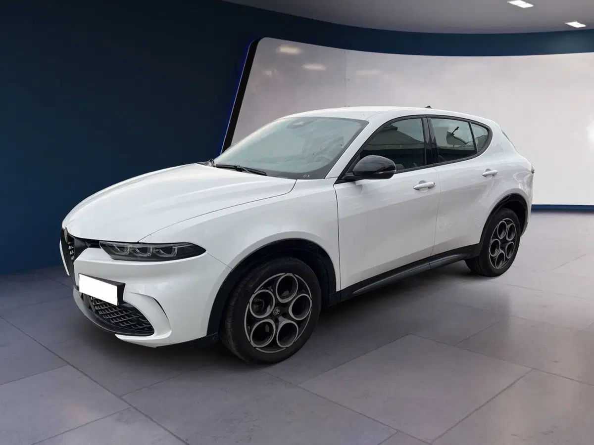 Alfa Romeo Tonale usata a Torino (6)