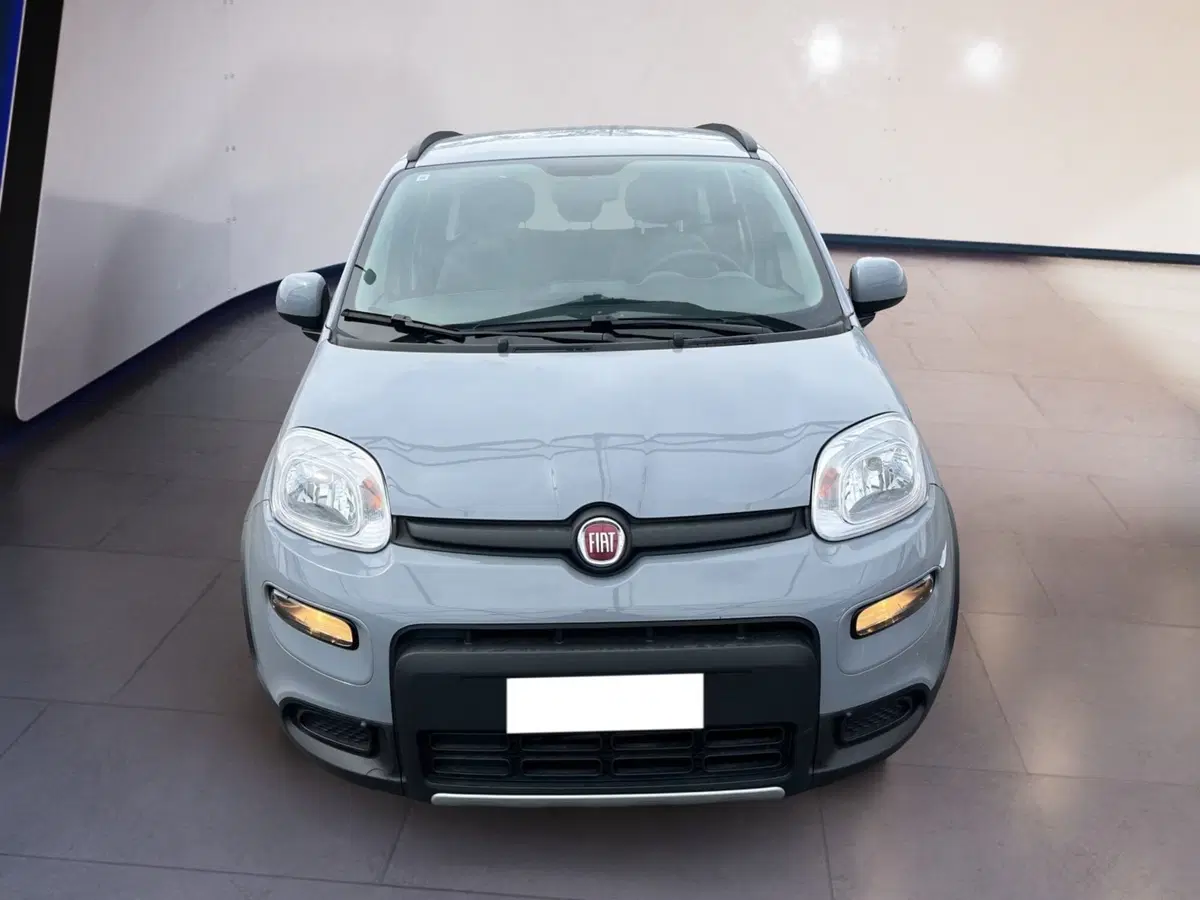 Fiat Panda usata a Torino