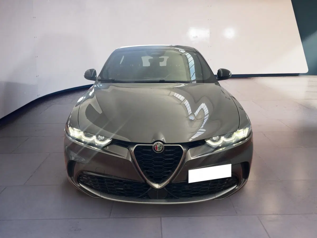 Alfa Romeo Tonale usata a Torino