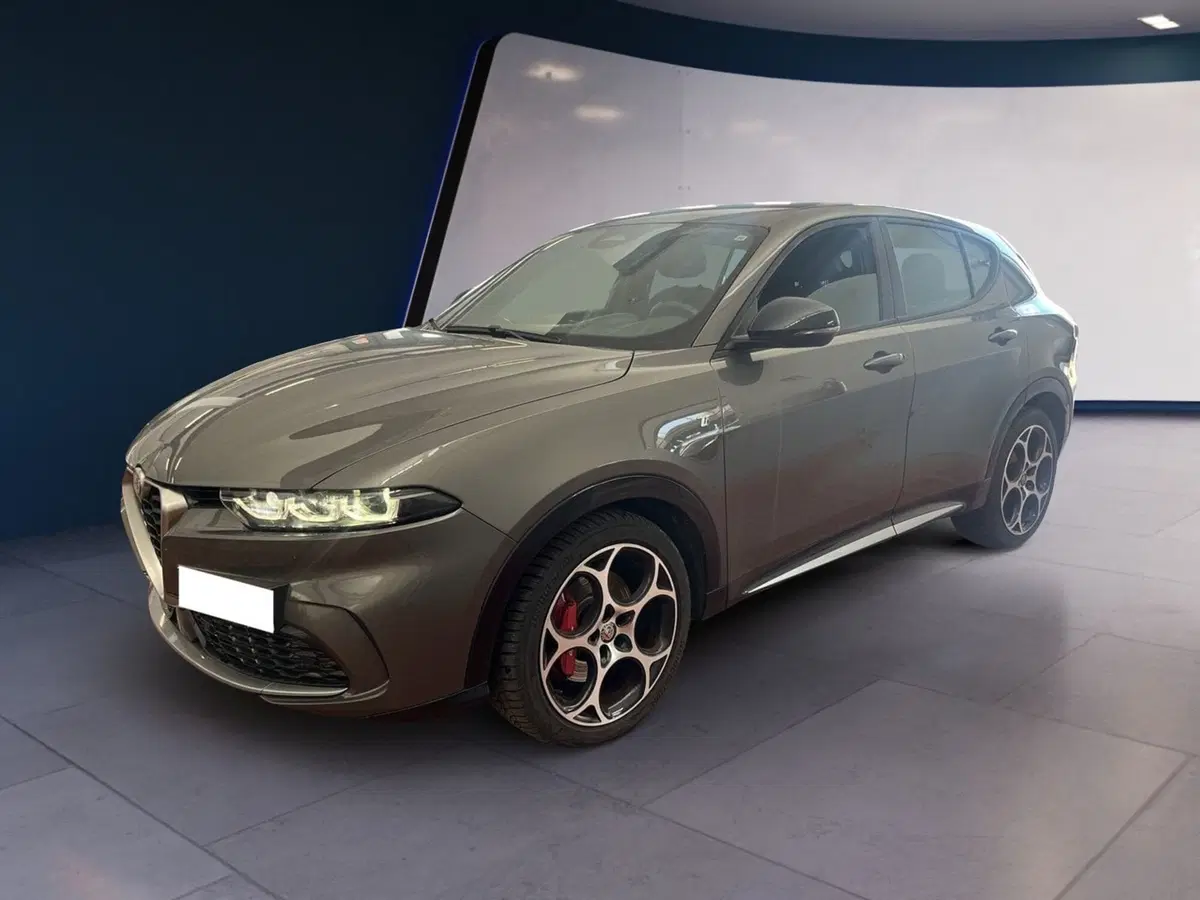 Alfa Romeo Tonale usata a Torino (2)