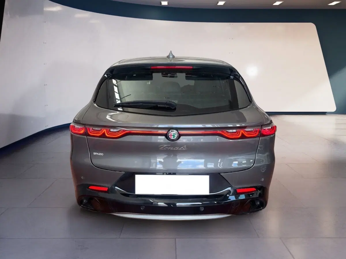 Alfa Romeo Tonale usata a Torino (5)